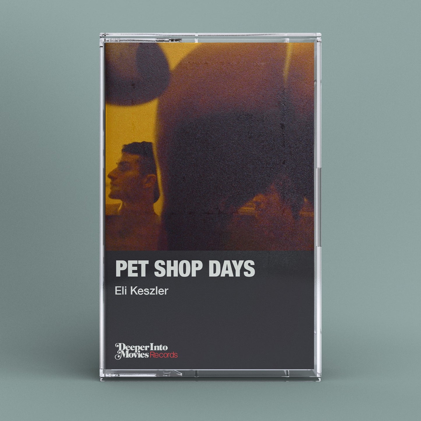 Pet Shop Days by Eli Keszler (PRE-ORDER)